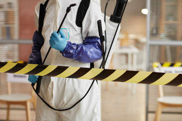 Professional Sewage Cleanup technician working in Carle Place, NY